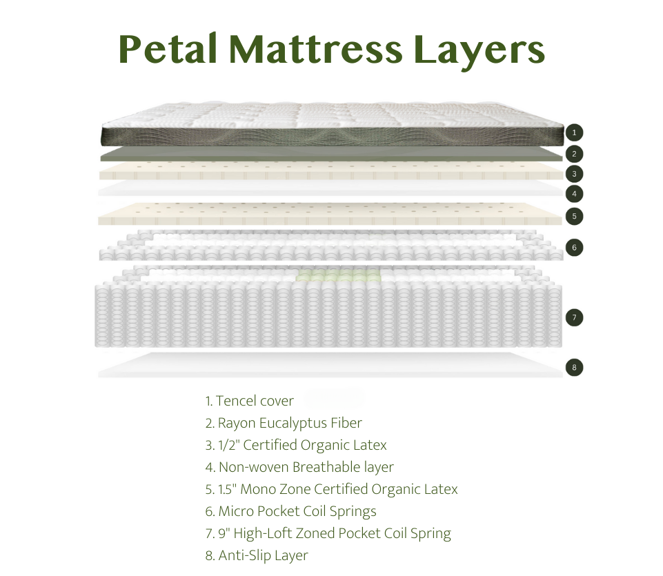 Petal Natural Latex Mattress With Mini Pocket Coils
